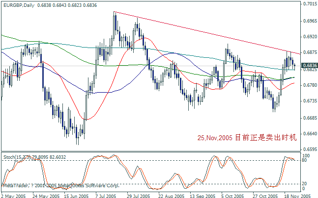 eurgbp 2005nov26.gif